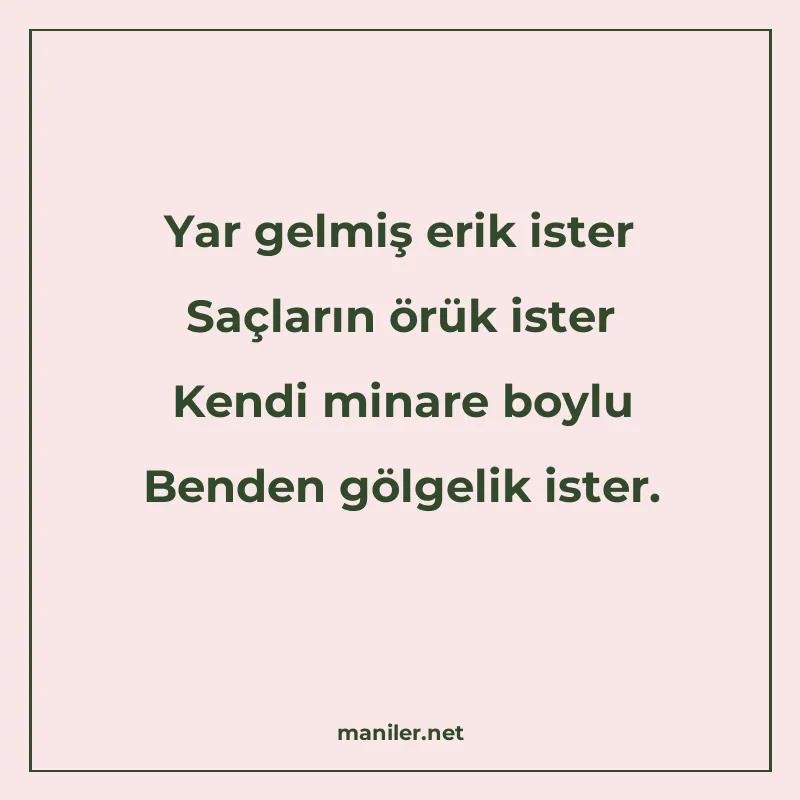 Yar gelmiş erik ister Saçların örük ister Kendi minare boylu manisi görseli