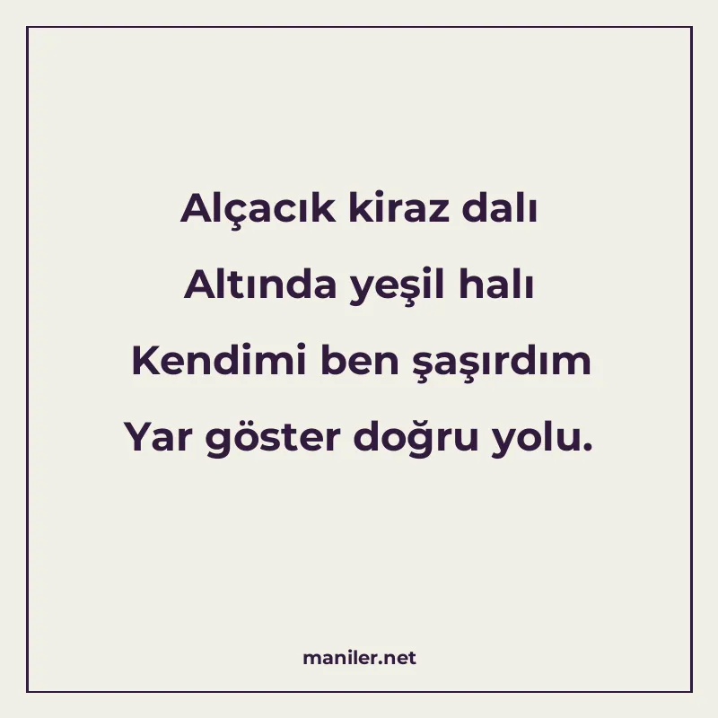 Alçacık kiraz dalı Altında yeşil halı Kendimi ben şaşırdım Y manisi görseli