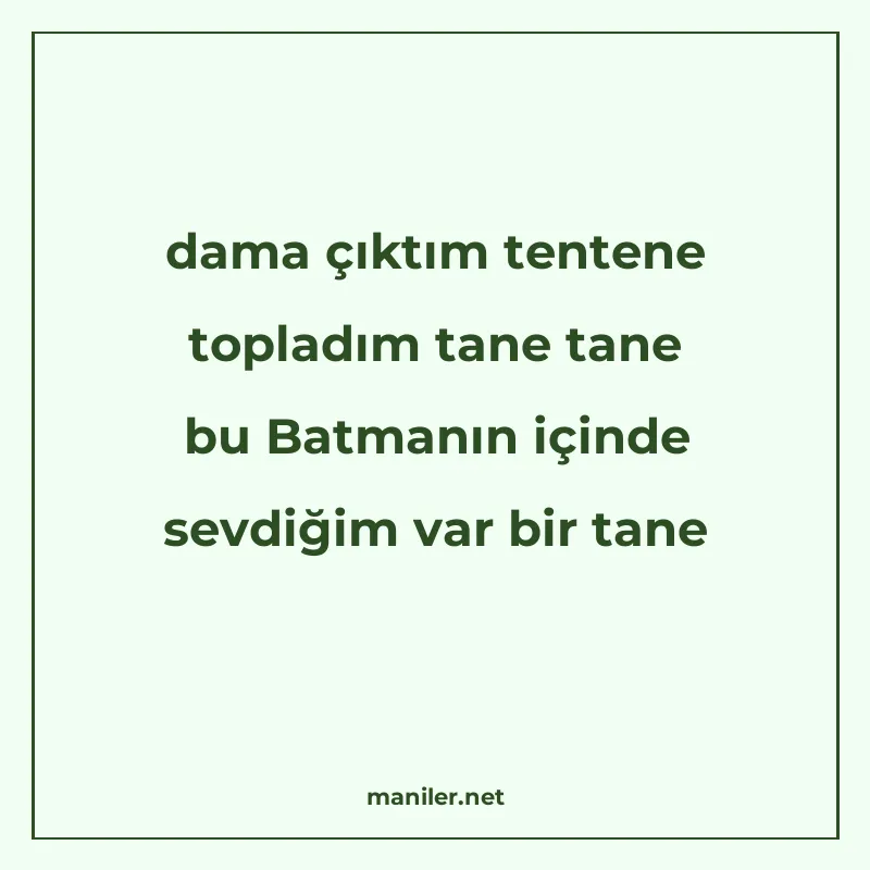 dama çıktım tentene topladım tane tane bu Batmanın içinde se manisi görseli