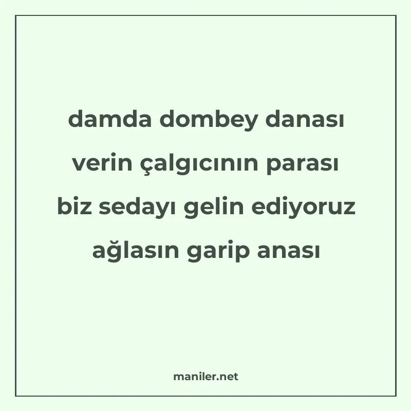 damda dombey danası verin çalgıcının parası biz sedayı gelin manisi görseli