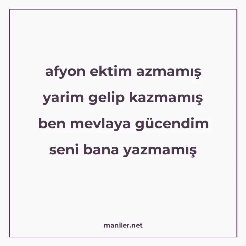 afyon ektim azmamış yarim gelip kazmamış ben mevlaya gücendi manisi görseli