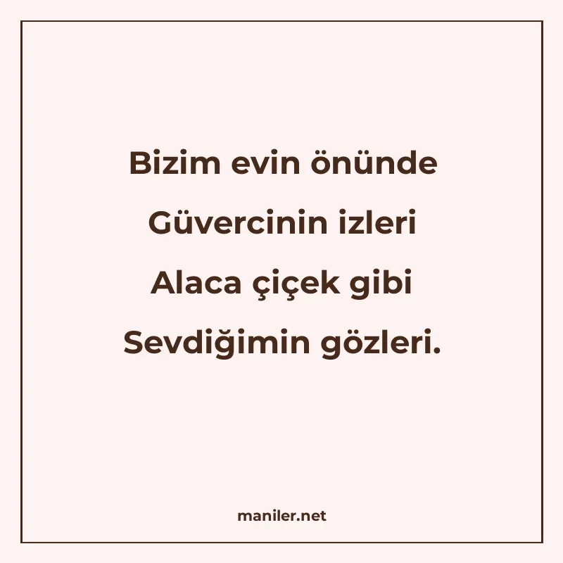 Bizim evin önünde Güvercinin izleri Alaca çiçek gibi Sevdiği manisi görseli