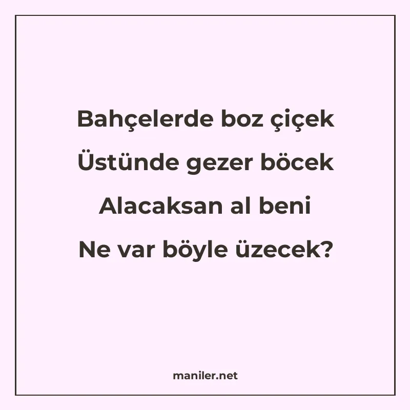 Bahçelerde boz çiçek Üstünde gezer böcek Alacaksan al beni N manisi görseli