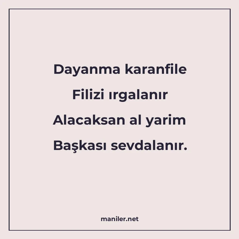 Dayanma karanfile Filizi ırgalanır Alacaksan al yarim Başkas manisi görseli