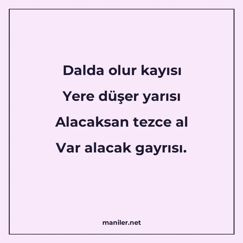 Dalda olur kayısı Yere düşer yarısı Alacaksan tezce al Var a manisi görseli