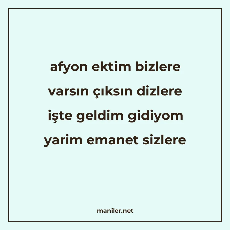 afyon ektim bizlere varsın çıksın dizlere işte geldim gidiyo manisi görseli