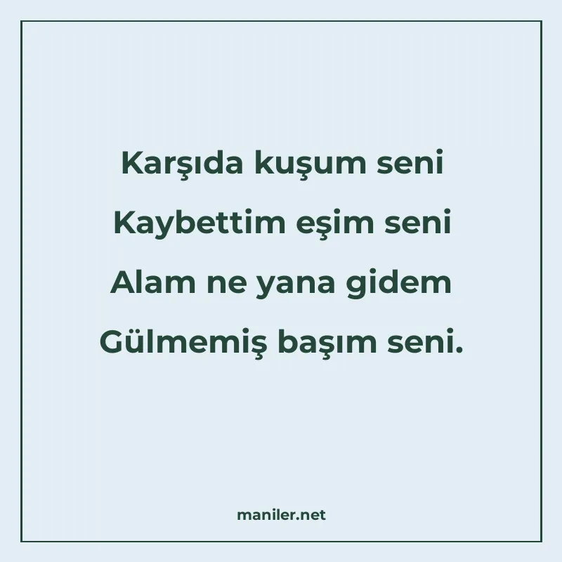Karşıda kuşum seni Kaybettim eşim seni Alam ne yana gidem Gü manisi görseli