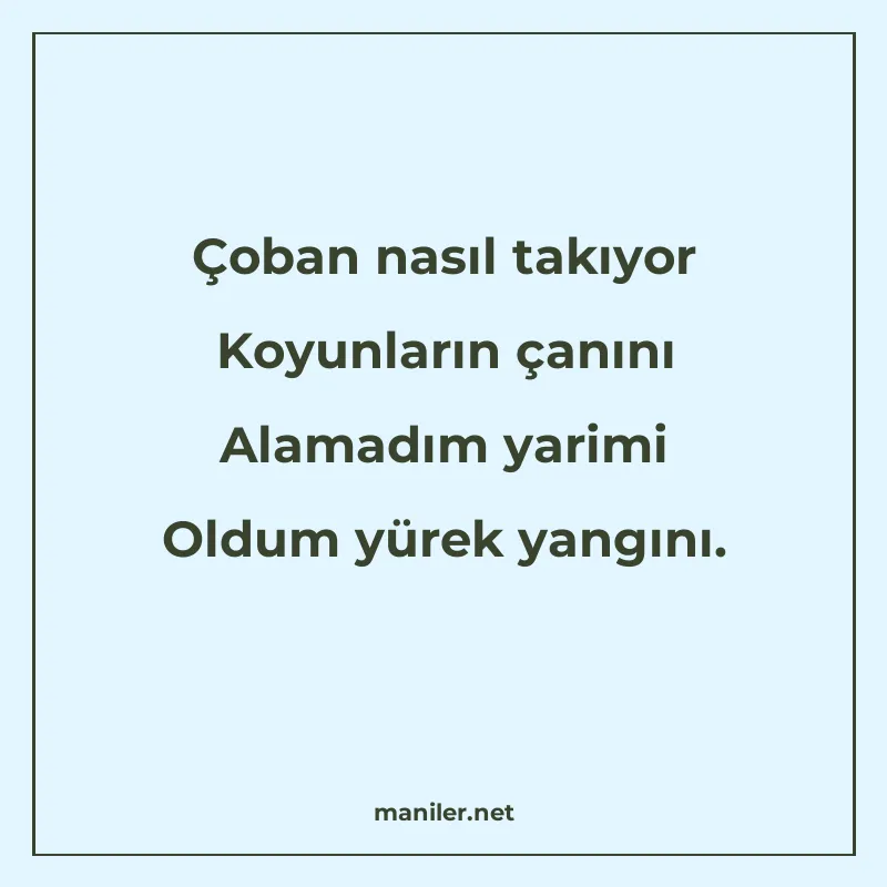 Çoban nasıl takıyor Koyunların çanını Alamadım yarimi Oldum