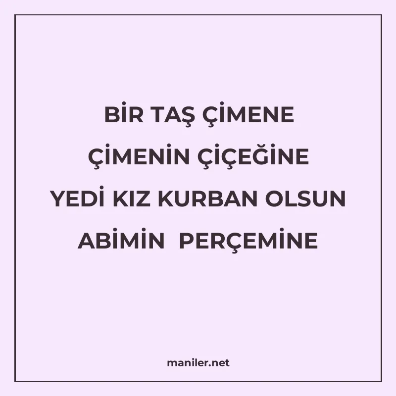 BİR TAŞ ÇİMENE ÇİMENİN ÇİÇEĞİNE YEDİ KIZ KURBAN OLSUN ABİMİN manisi görseli
