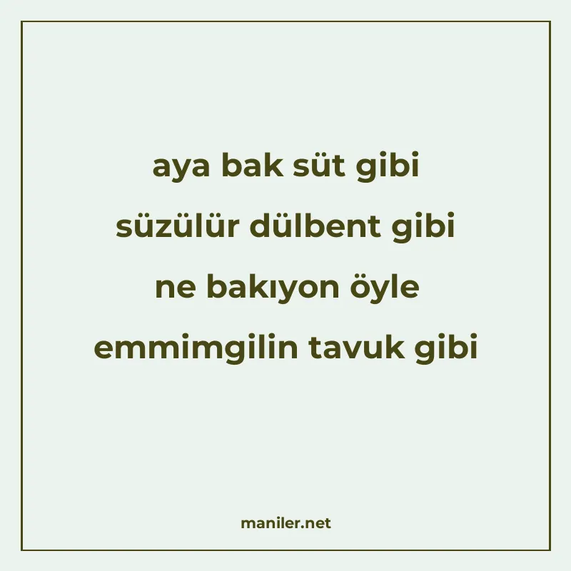 aya bak süt gibi süzülür dülbent gibi ne bakıyon öyle emmimg manisi görseli