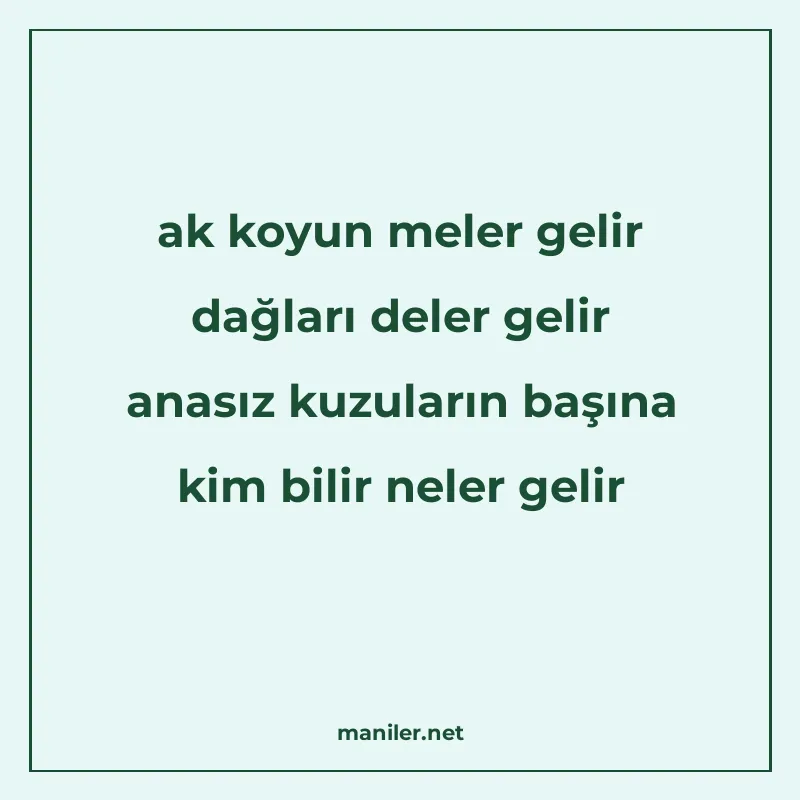 ak koyun meler gelir dağları deler gelir anasız kuzuların ba manisi görseli