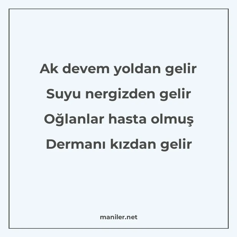 Ak devem yoldan gelir Suyu nergizden gelir Oğlanlar hasta ol manisi görseli