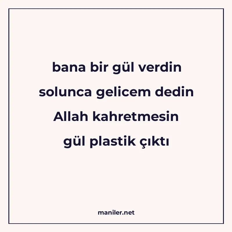 bana bir gül verdin solunca gelicem dedin Allah kahretmesin manisi görseli