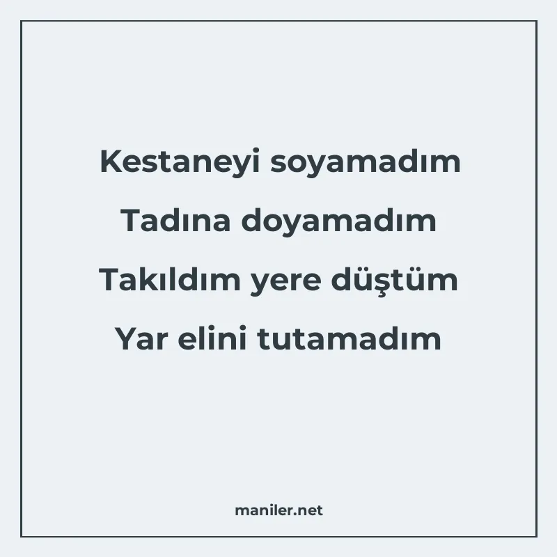 Kestaneyi soyamadım Tadına doyamadım Takıldım yere düştüm Ya manisi görseli