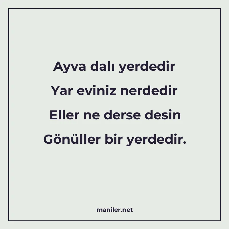 Ayva dalı yerdedir Yar eviniz nerdedir Eller ne derse desin manisi görseli