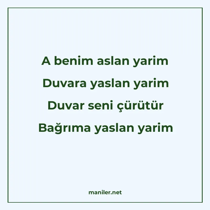 A benim aslan yarim Duvara yaslan yarim Duvar seni çürütür B manisi görseli