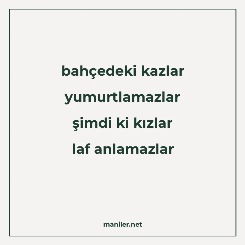 bahçedeki kazlar yumurtlamazlar şimdi ki kızlar laf anlamazl manisi görseli