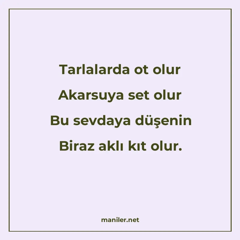Tarlalarda ot olur Akarsuya set olur Bu sevdaya düşenin Bira manisi görseli