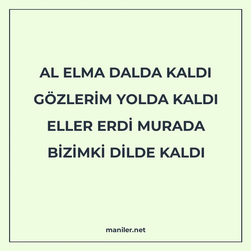 AL ELMA DALDA KALDI GÖZLERİM YOLDA KALDI ELLER ERDİ MURADA B manisi görseli