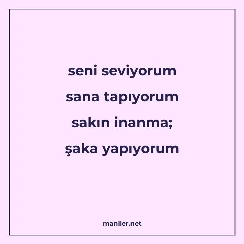 seni seviyorum sana tapıyorum sakın inanma; şaka yapıyorum manisi görseli