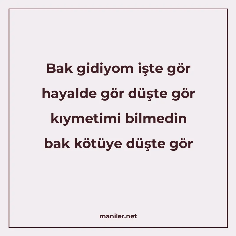 Bak gidiyom işte gör hayalde gör düşte gör kıymetimi bilmedi manisi görseli
