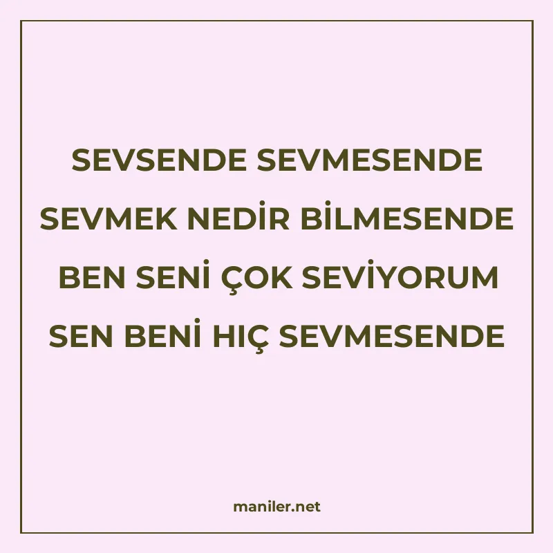 SEVSENDE SEVMESENDE SEVMEK NEDİR BİLMESENDE BEN SENİ ÇOK SEV manisi görseli