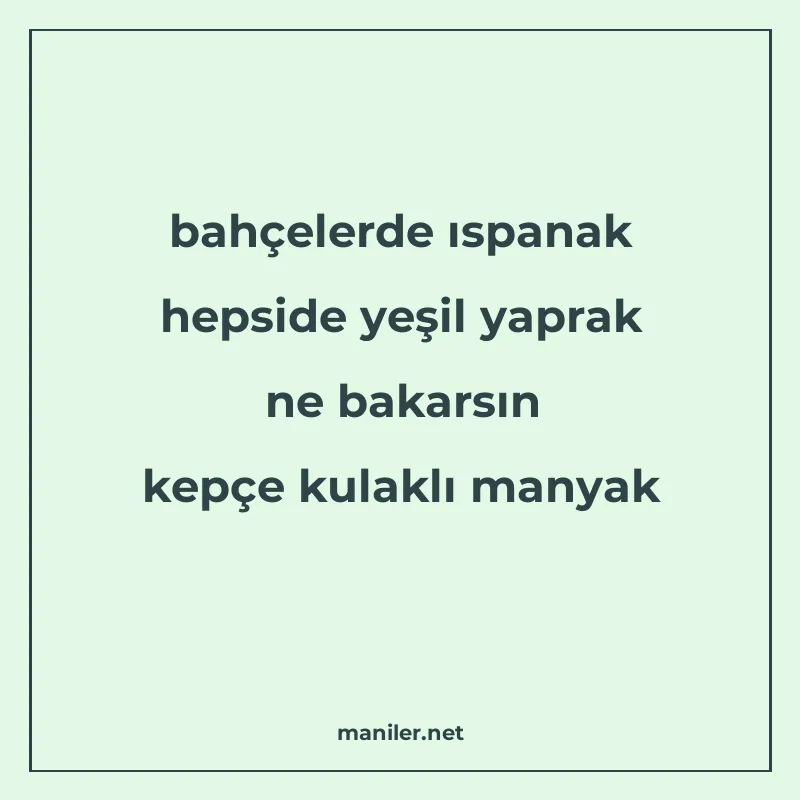 bahçelerde ıspanak hepside yeşil yaprak ne bakarsın kepçe ku manisi görseli