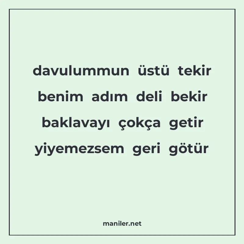 davulummun üstü tekir benim adım deli bekir baklavayı çokça manisi görseli