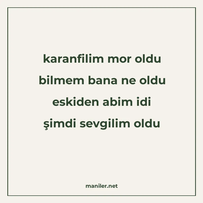 karanfilim mor oldu bilmem bana ne oldu eskiden abim idi şim manisi görseli