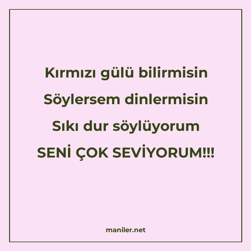 Kırmızı gülü bilirmisin Söylersem dinlermisin Sıkı dur söylü manisi görseli