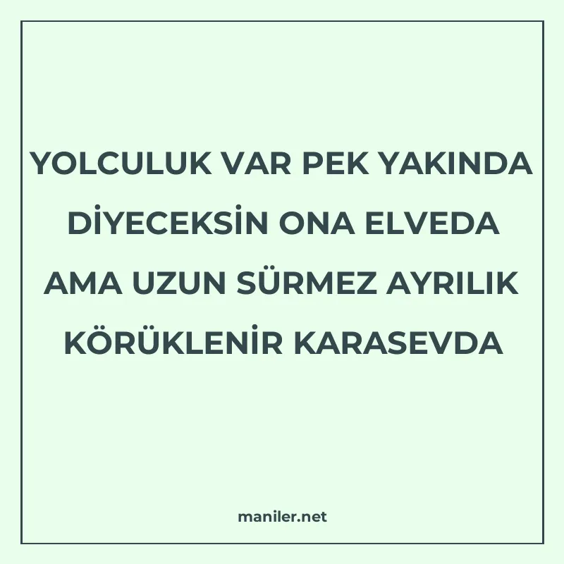 YOLCULUK VAR PEK YAKINDA DİYECEKSİN ONA ELVEDA AMA UZUN SÜRM manisi görseli