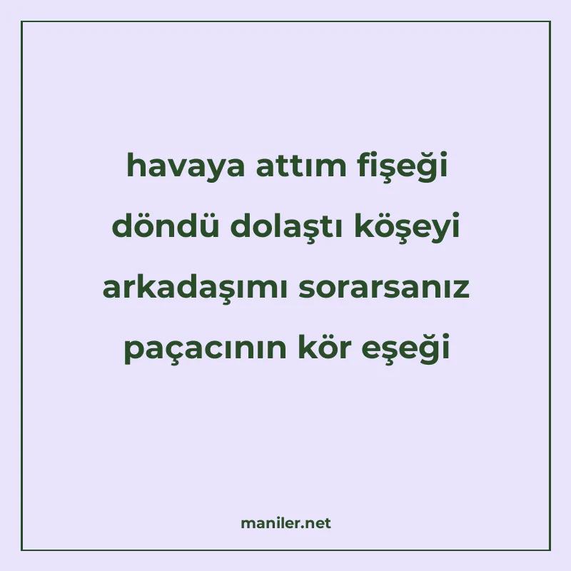 havaya attım fişeği döndü dolaştı köşeyi arkadaşımı sorarsan manisi görseli