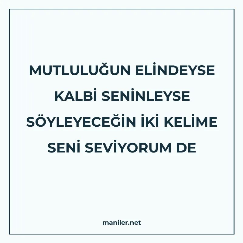 MUTLULUĞUN ELİNDEYSE KALBİ SENİNLEYSE SÖYLEYECEĞİN İKİ KELİM manisi görseli