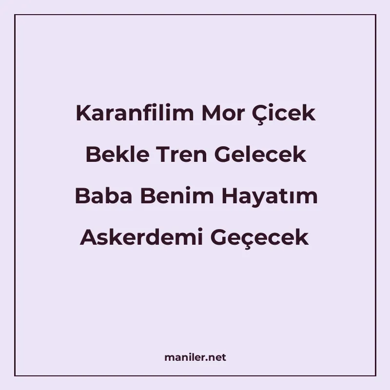 Karanfilim Mor Çicek Bekle Tren Gelecek Baba Benim Hayatım A manisi görseli
