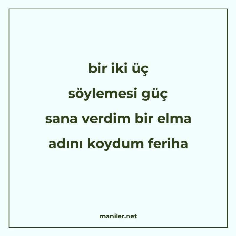 bir iki üç söylemesi güç sana verdim bir elma adını koydum f manisi görseli