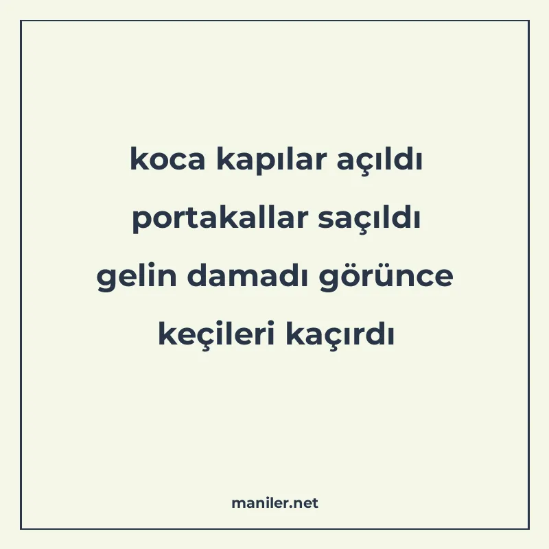 koca kapılar açıldı portakallar saçıldı gelin damadı görünce manisi görseli