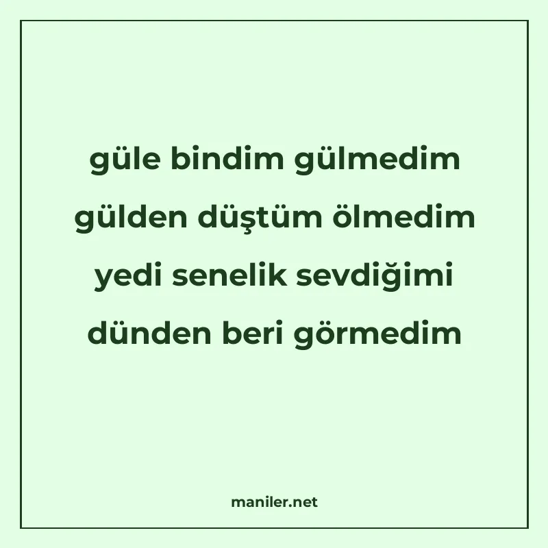 güle bindim gülmedim gülden düştüm ölmedim yedi senelik sevd manisi görseli