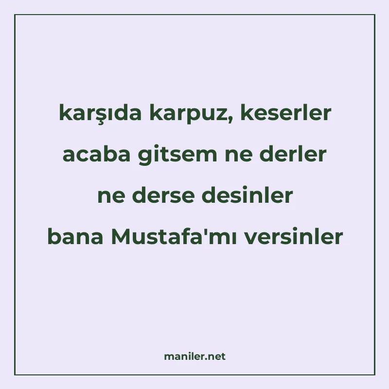 karşıda karpuz, keserler acaba gitsem ne derler ne derse des manisi görseli