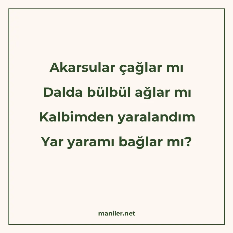 Akarsular çağlar mı Dalda bülbül ağlar mı Kalbimden yaraland manisi görseli