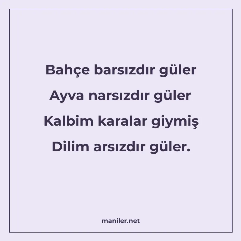 Bahçe barsızdır güler Ayva narsızdır güler Kalbim karalar gi manisi görseli