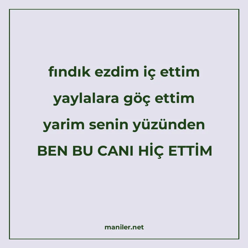 fındık ezdim iç ettim yaylalara göç ettim yarim senin yüzünd manisi görseli