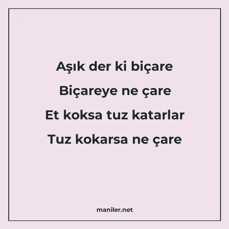 Aşık der ki biçare Biçareye ne çare Et koksa tuz katarlar Tu manisi görseli