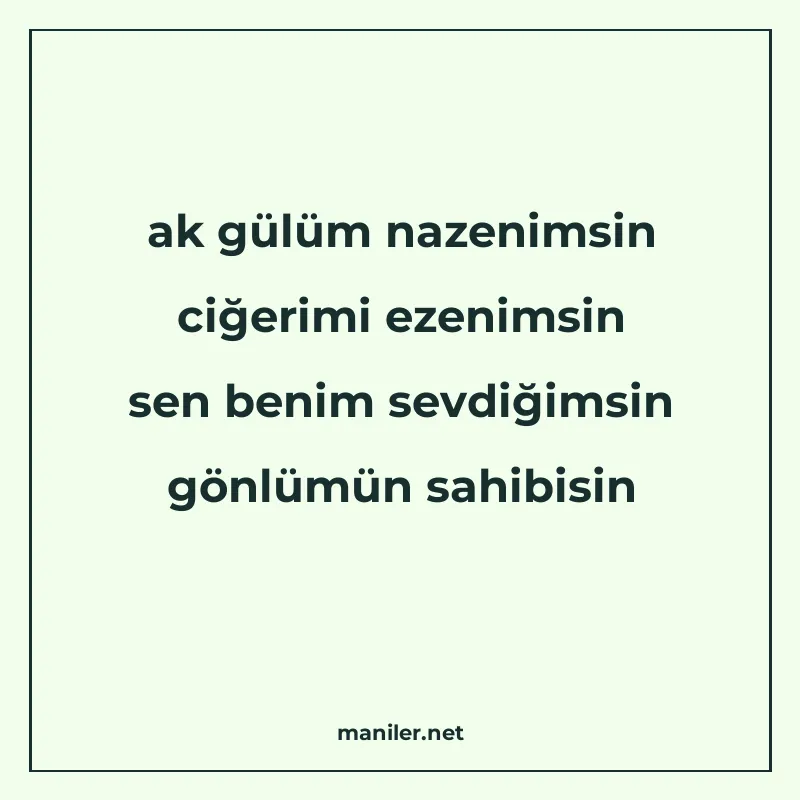 ak gülüm nazenimsin ciğerimi ezenimsin sen benim sevdiğimsin manisi görseli