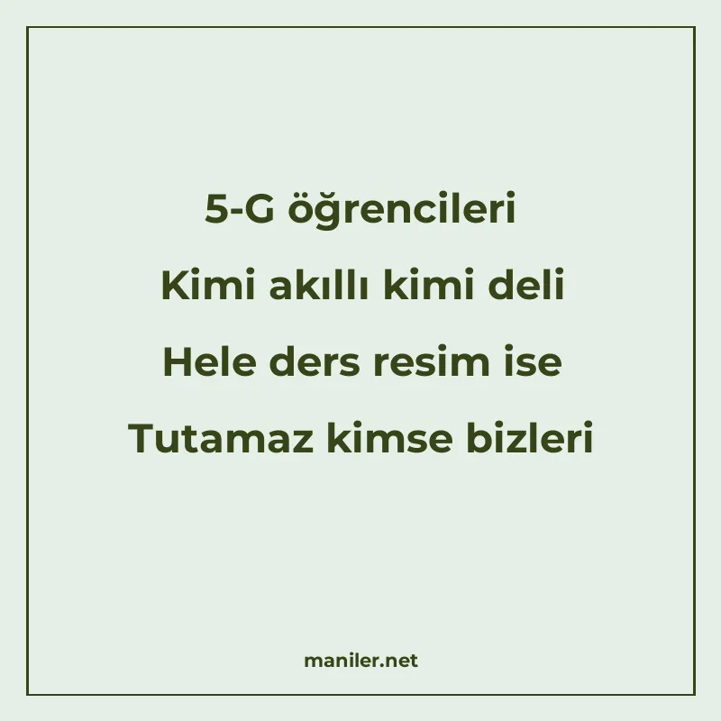 5-G öğrencileri Kimi akıllı kimi deli Hele ders resim ise Tu manisi görseli