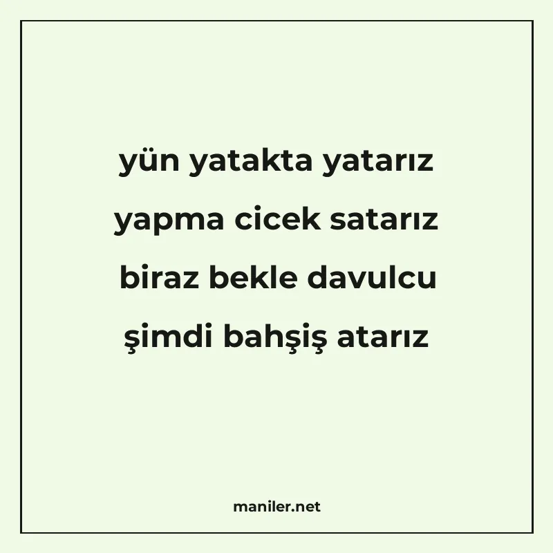 yün yatakta yatarız yapma cicek satarız biraz bekle davulcu manisi görseli