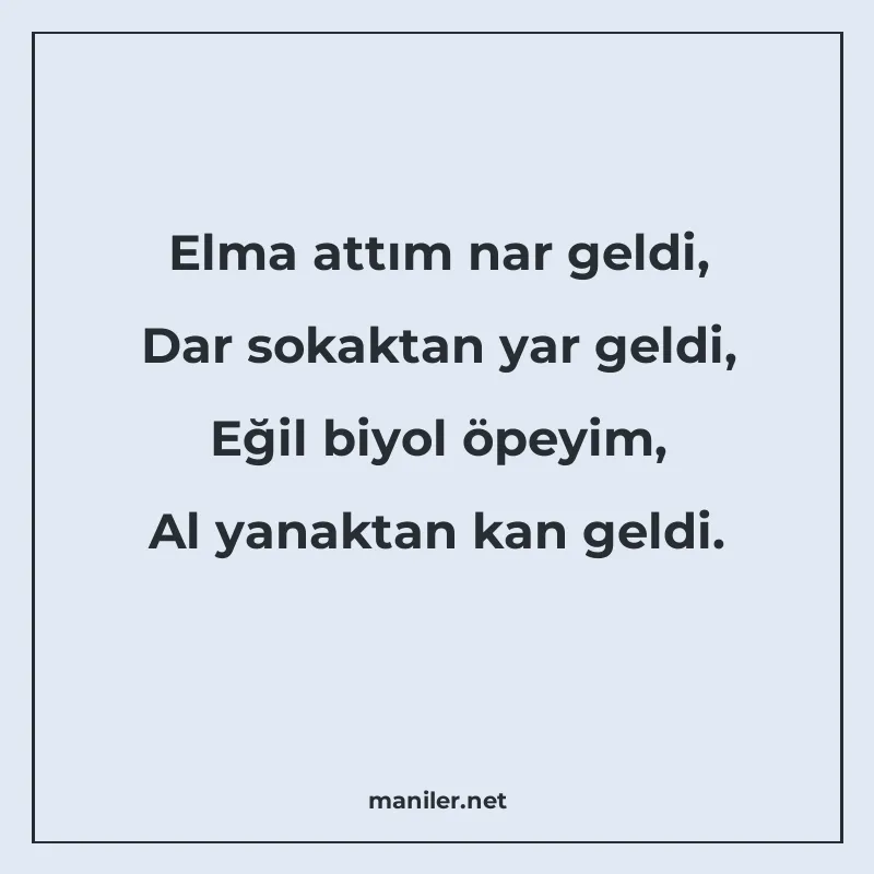 Elma attım nar geldi, Dar sokaktan yar geldi, Eğil biyol öpe manisi görseli