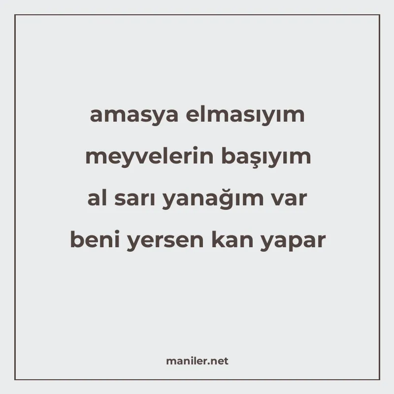 amasya elmasıyım meyvelerin başıyım al sarı yanağım var beni manisi görseli