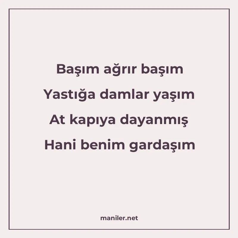 Başım ağrır başım Yastığa damlar yaşım At kapıya dayanmış Ha manisi görseli