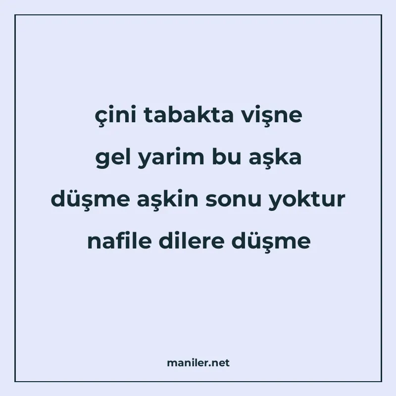 çini tabakta vişne gel yarim bu aşka düşme aşkin sonu yoktur manisi görseli