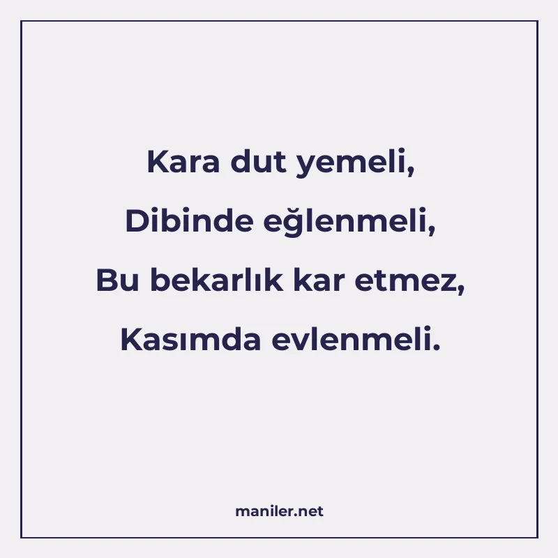 Kara dut yemeli, Dibinde eğlenmeli, Bu bekarlık kar etmez, K manisi görseli